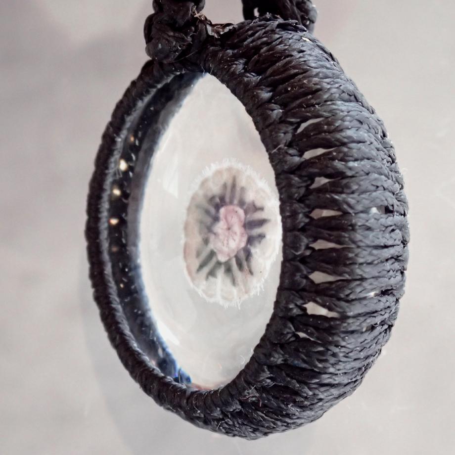 ハスノハカシパン樹脂封入標本ネックレス | 5枚目