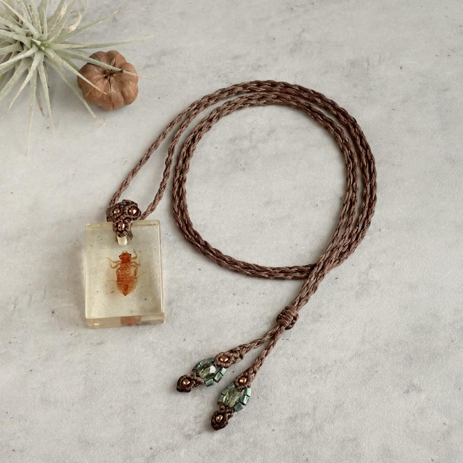 ヤゴ類樹脂封入標本ネックレス1枚目の画像