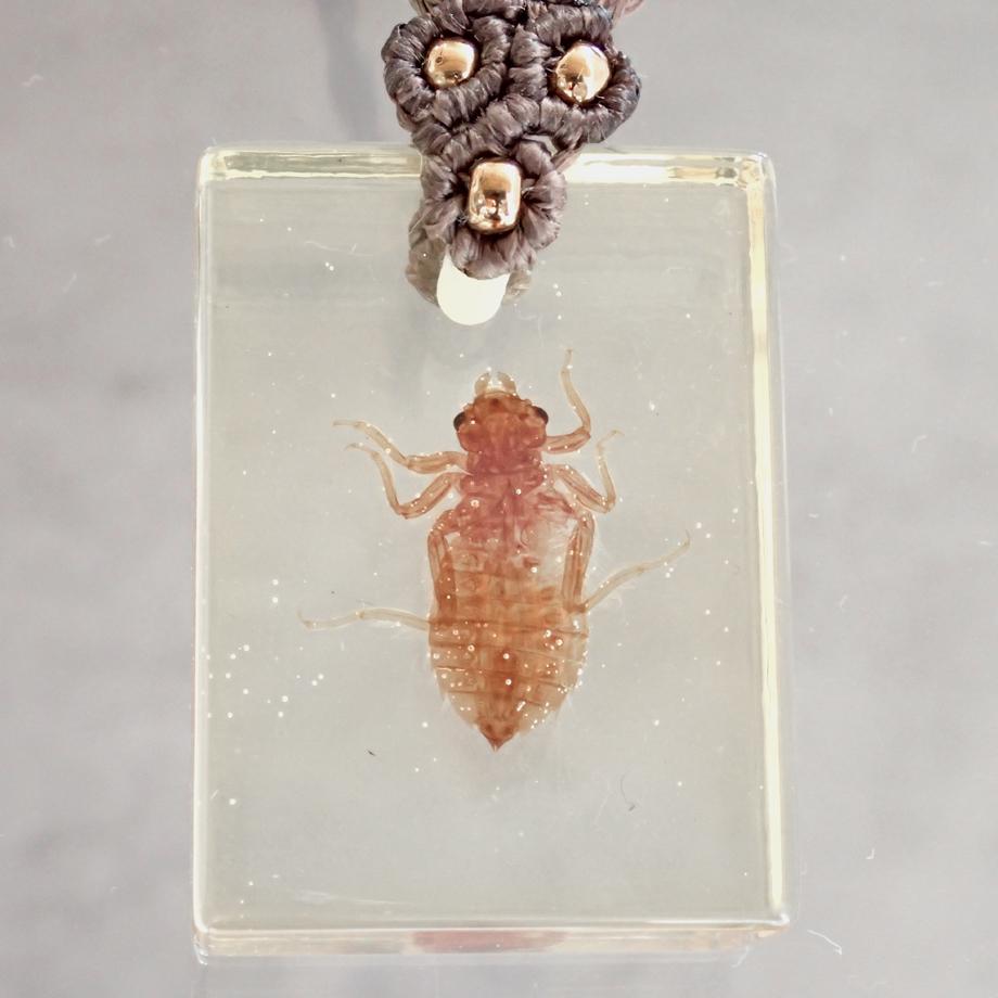 ヤゴ類樹脂封入標本ネックレス | 3枚目