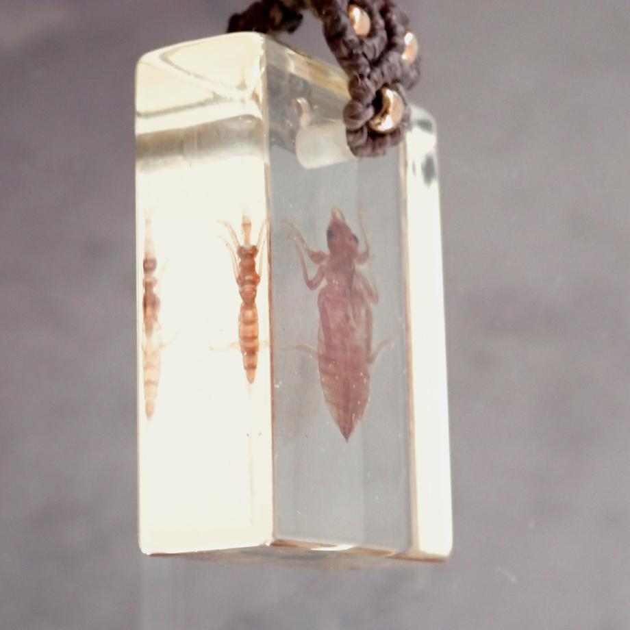 ヤゴ類樹脂封入標本ネックレス | 4枚目