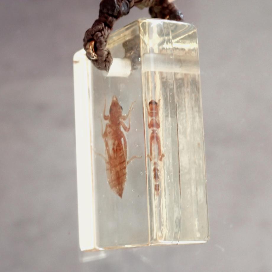 ヤゴ類樹脂封入標本ネックレス | 5枚目