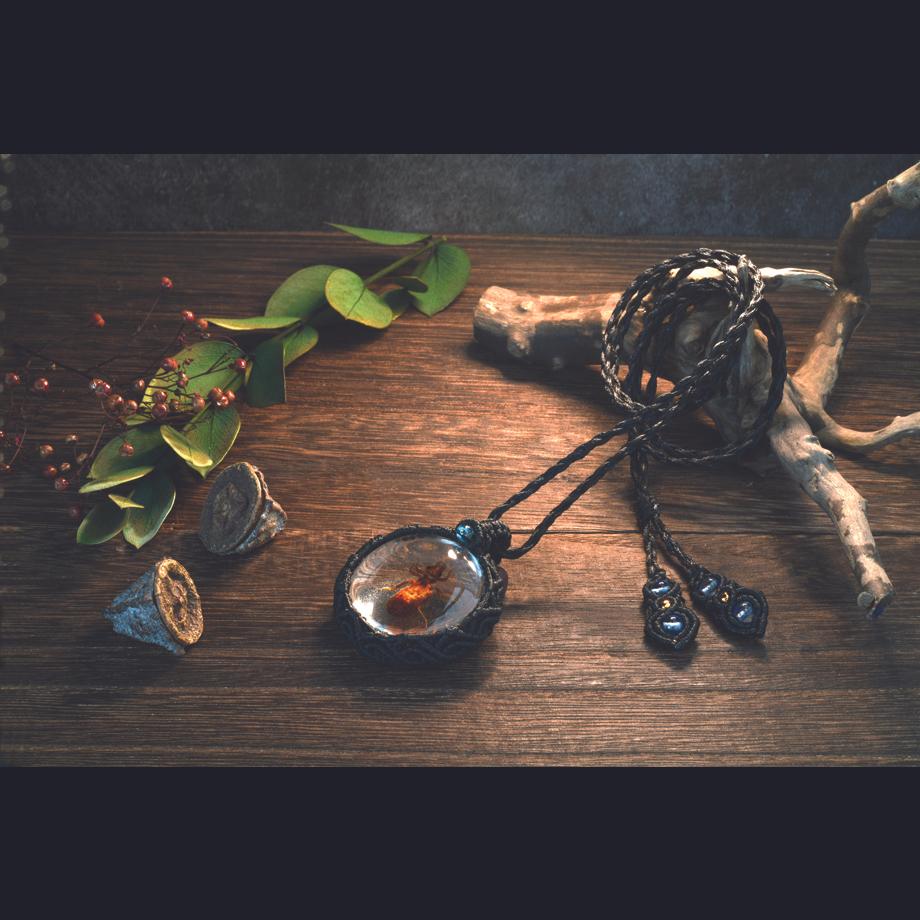 ヤゴ類樹脂封入標本ネックレス | 7枚目