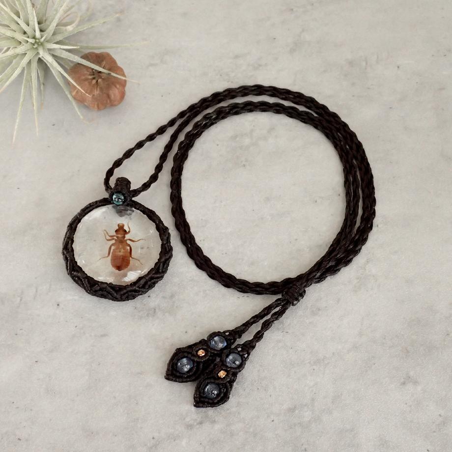 ヤゴ類樹脂封入標本ネックレス1枚目の画像