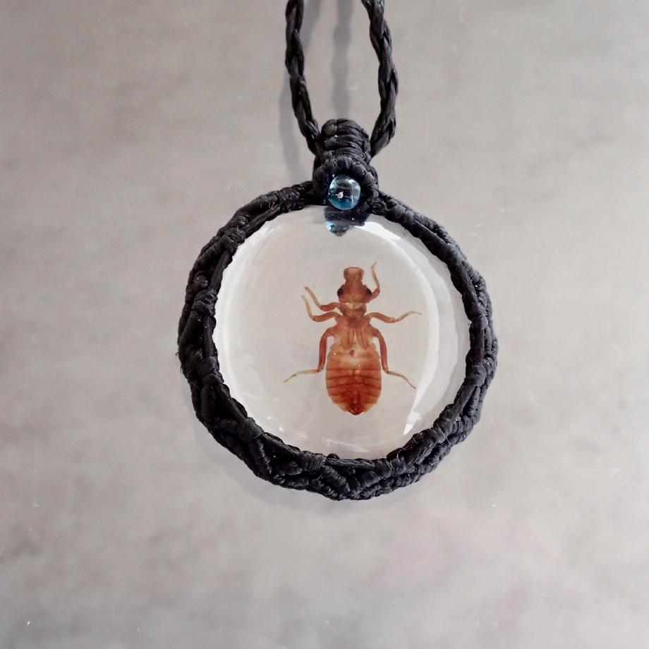 ヤゴ類樹脂封入標本ネックレス | 2枚目