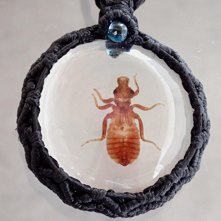 ヤゴ類樹脂封入標本ネックレス | 3枚目