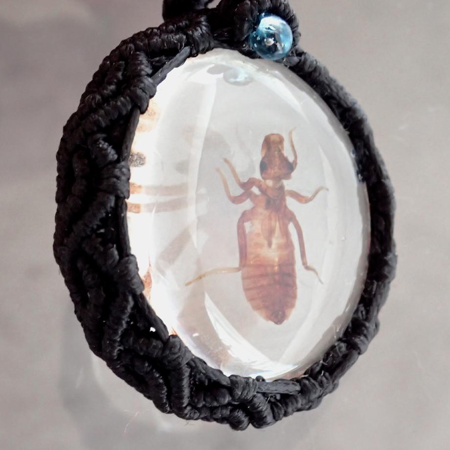 ヤゴ類樹脂封入標本ネックレス | 4枚目