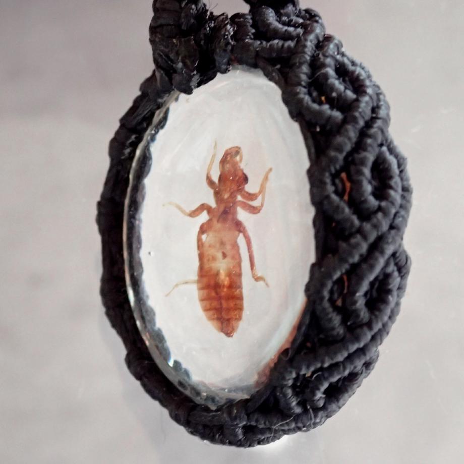 ヤゴ類樹脂封入標本ネックレス | 5枚目