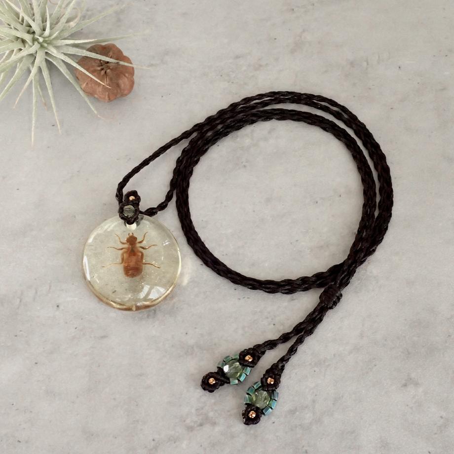 ヤゴ類樹脂封入標本ネックレス1枚目の画像