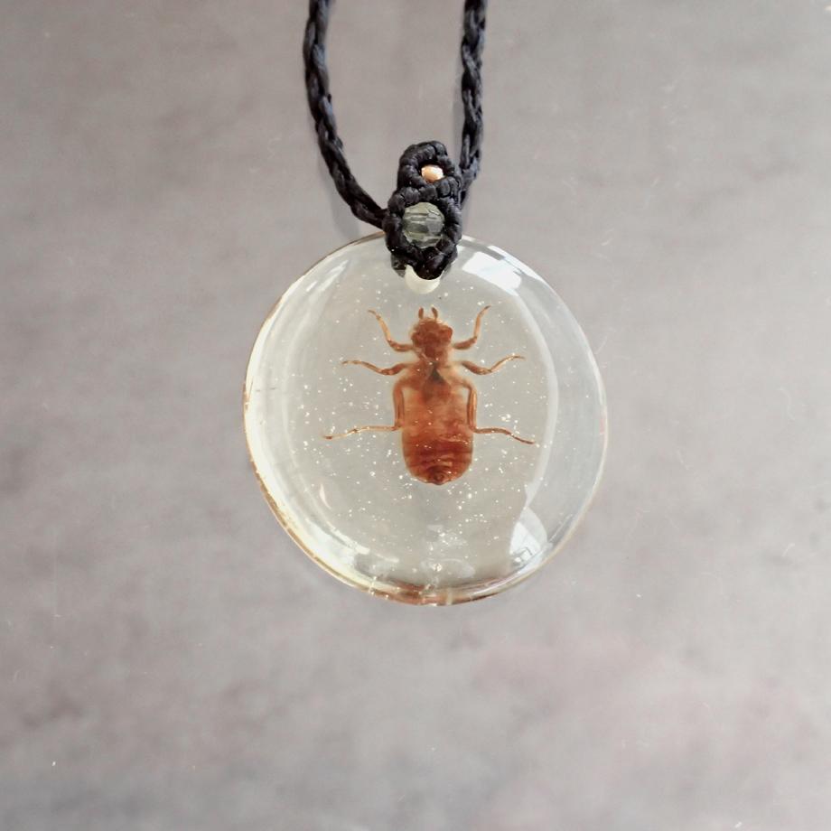 ヤゴ類樹脂封入標本ネックレス | 2枚目