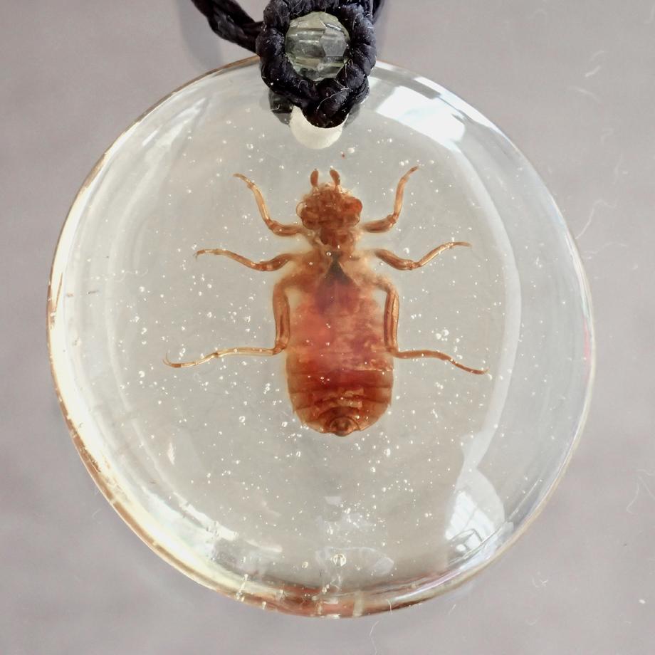 ヤゴ類樹脂封入標本ネックレス | 3枚目