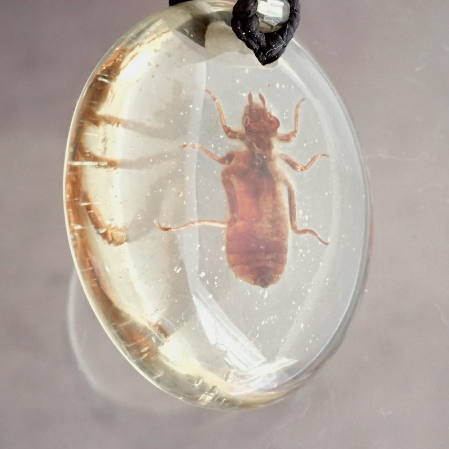 ヤゴ類樹脂封入標本ネックレス | 4枚目