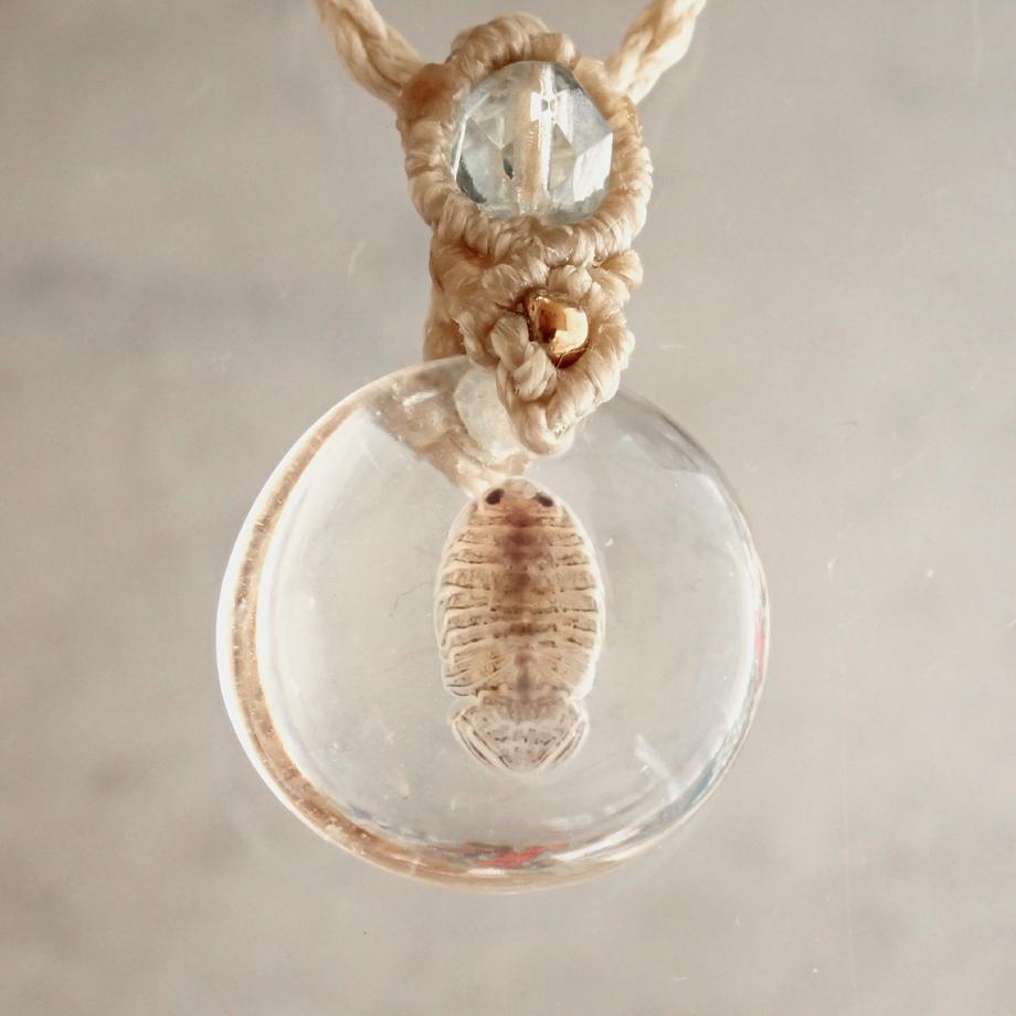 等脚類樹脂封入標本ネックレス | 3枚目