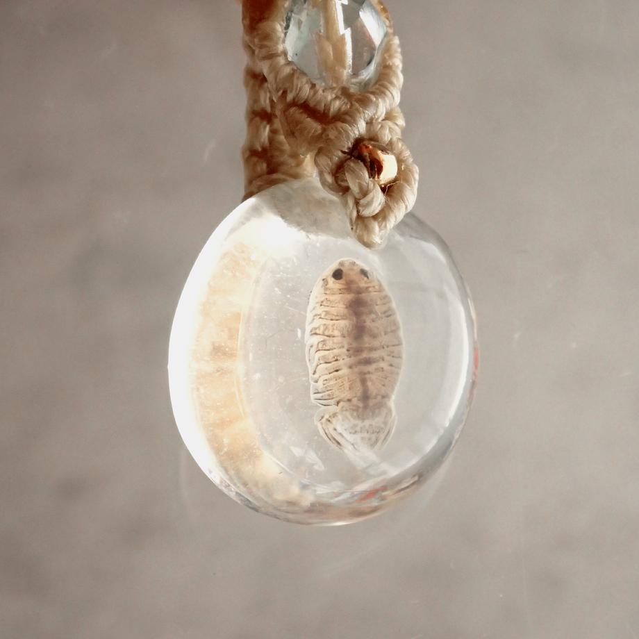等脚類樹脂封入標本ネックレス | 4枚目