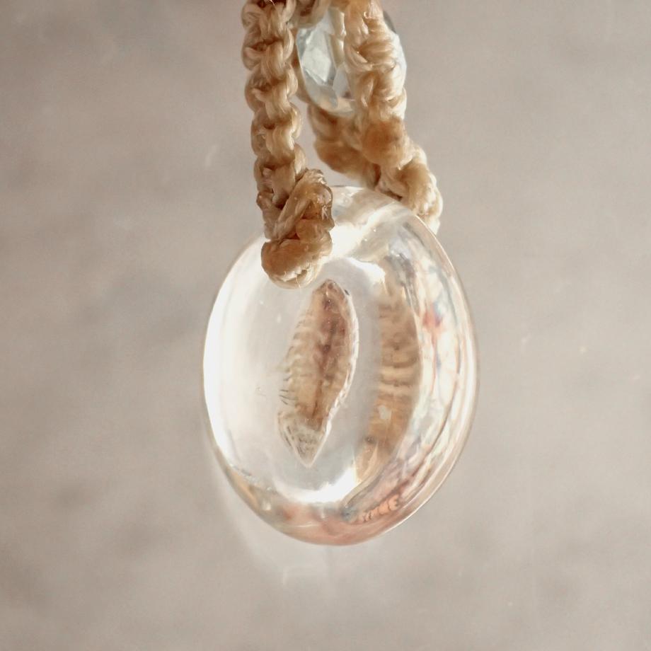 等脚類樹脂封入標本ネックレス | 5枚目