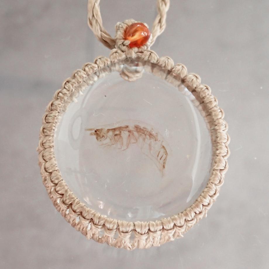 ヨコエビ類樹脂封入標本ネックレス | 3枚目