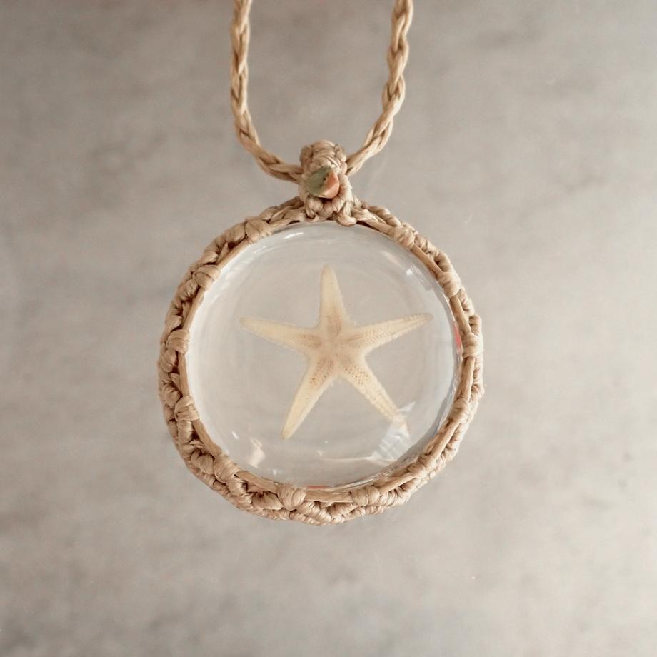 ヒトデ類樹脂封入標本ネックレス | 6枚目