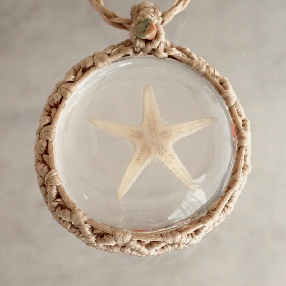 ヒトデ類樹脂封入標本ネックレス | 7枚目