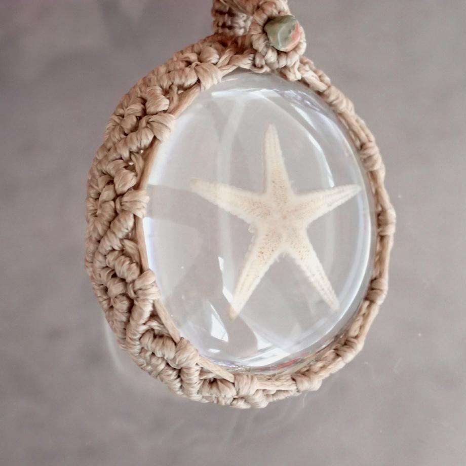 ヒトデ類樹脂封入標本ネックレス | 8枚目