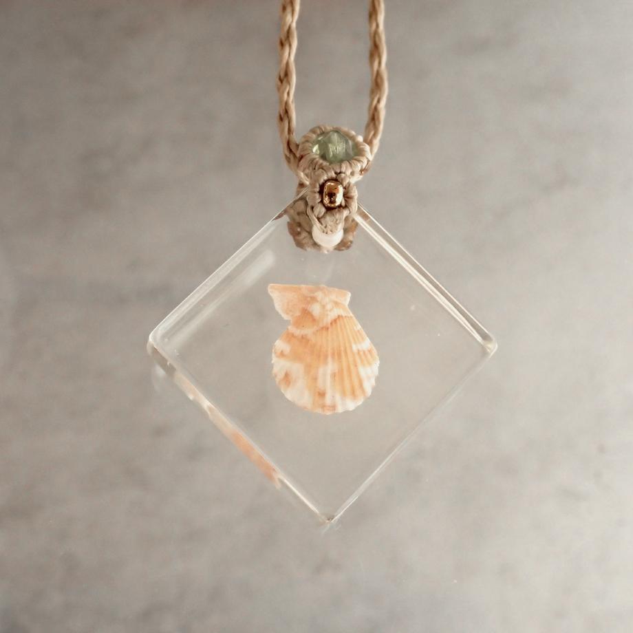 二枚貝類樹脂封入標本ネックレス | 6枚目
