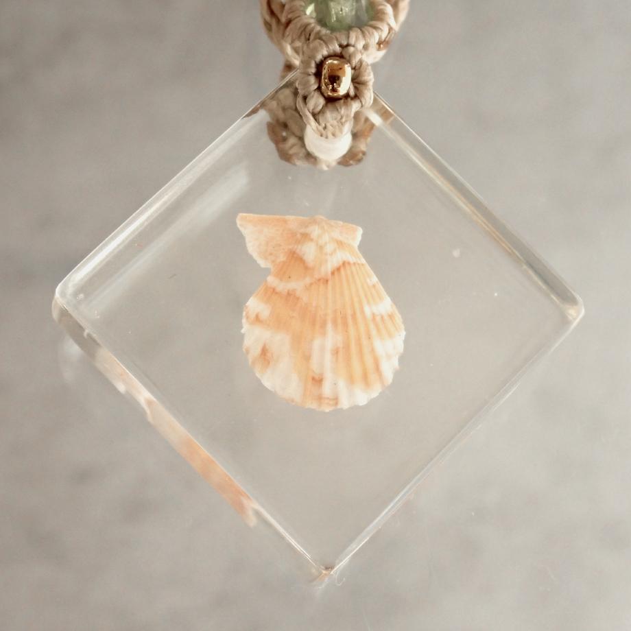二枚貝類樹脂封入標本ネックレス | 7枚目