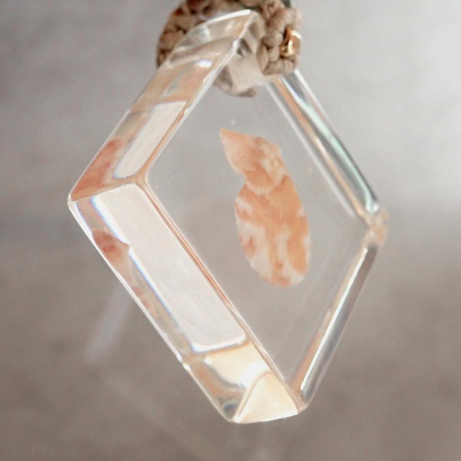 二枚貝類樹脂封入標本ネックレス | 8枚目