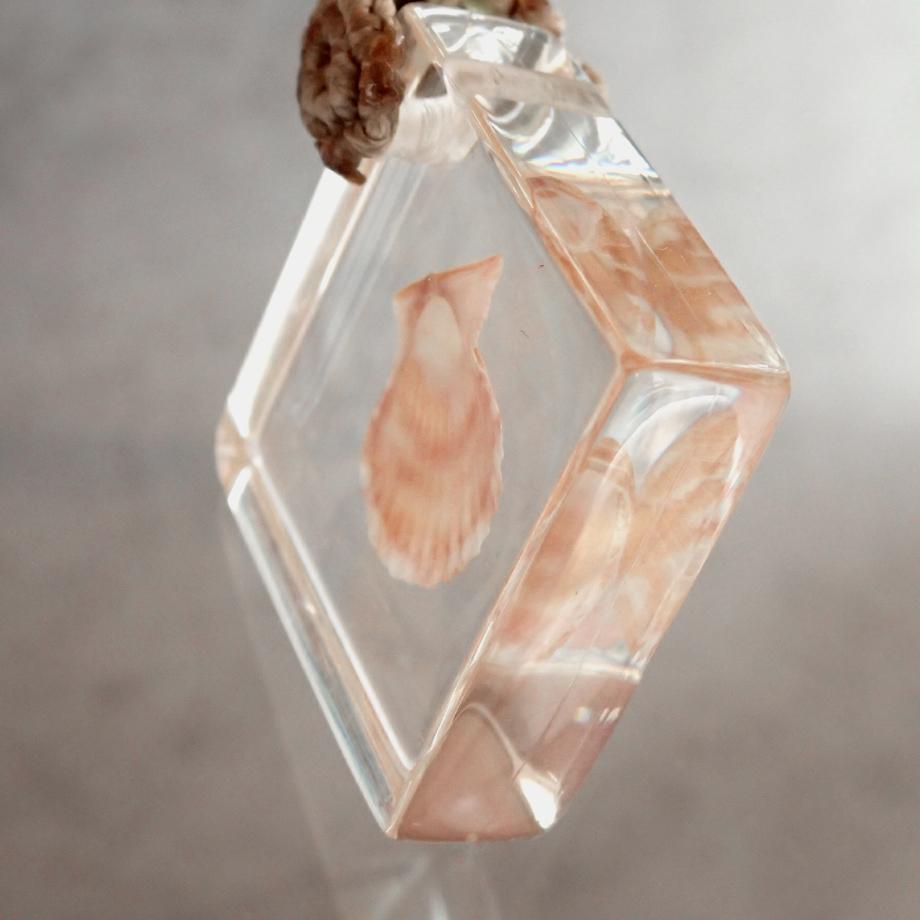 二枚貝類樹脂封入標本ネックレス | 9枚目