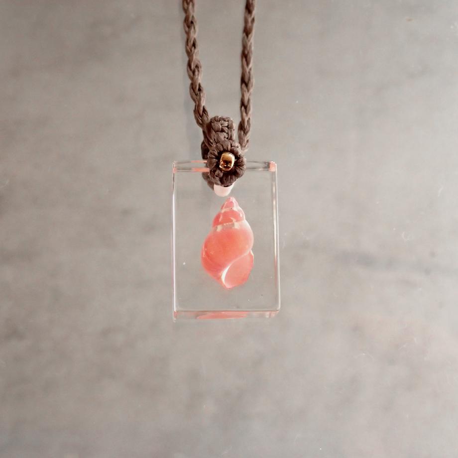 巻貝類樹脂封入標本ネックレス | 2枚目