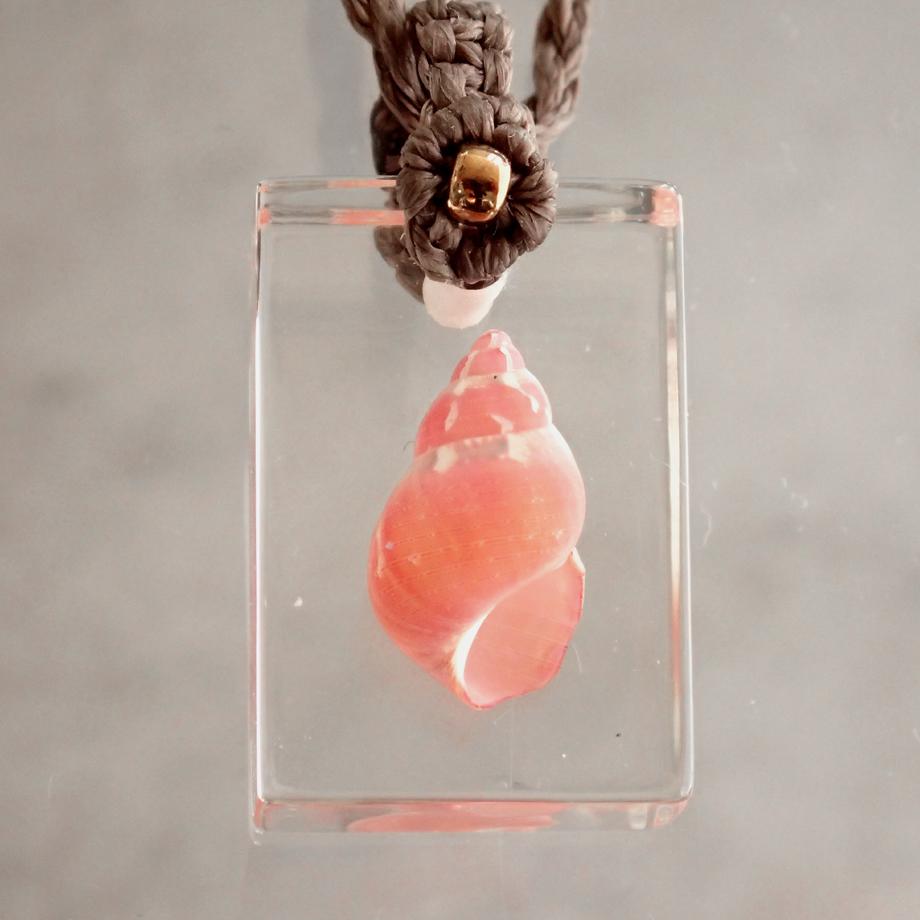 巻貝類樹脂封入標本ネックレス | 3枚目