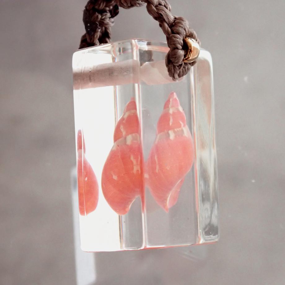 巻貝類樹脂封入標本ネックレス | 4枚目