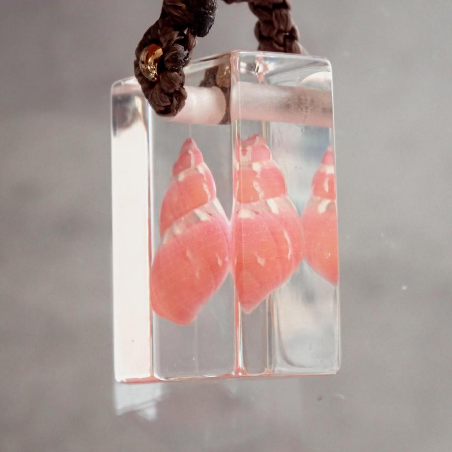 巻貝類樹脂封入標本ネックレス | 5枚目