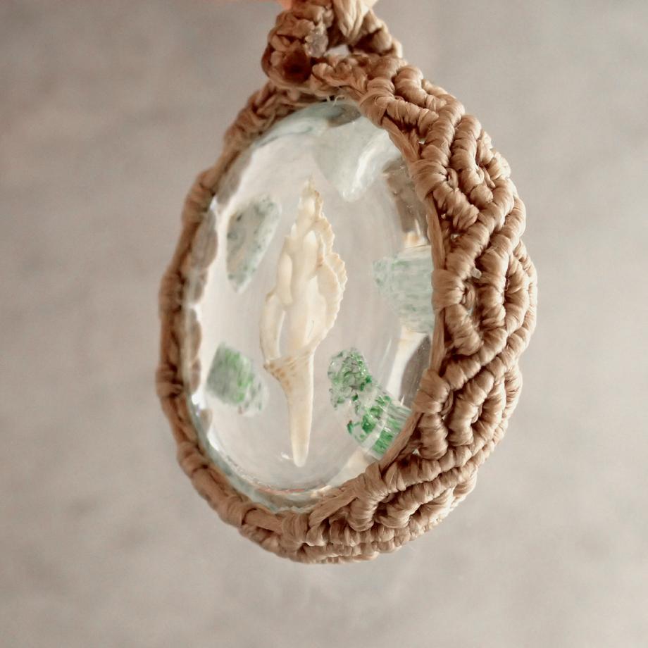 巻貝類樹脂封入標本ネックレス | 5枚目