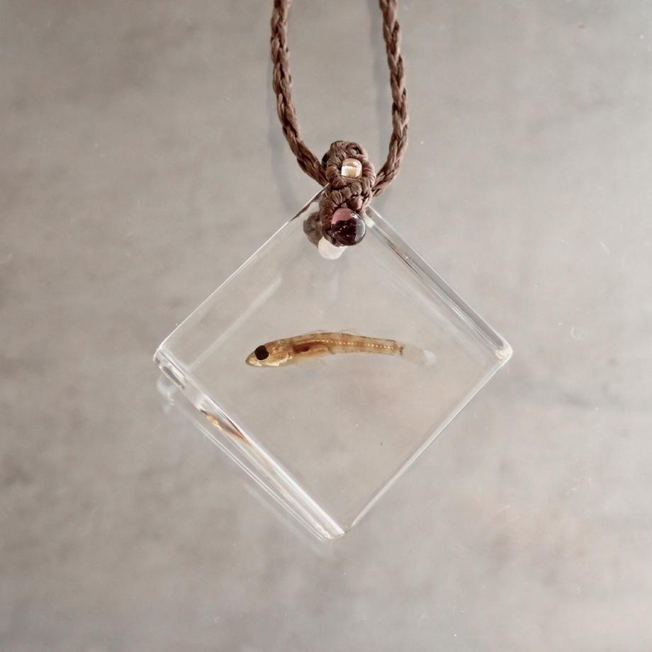 魚類樹脂封入標本ネックレス | 2枚目