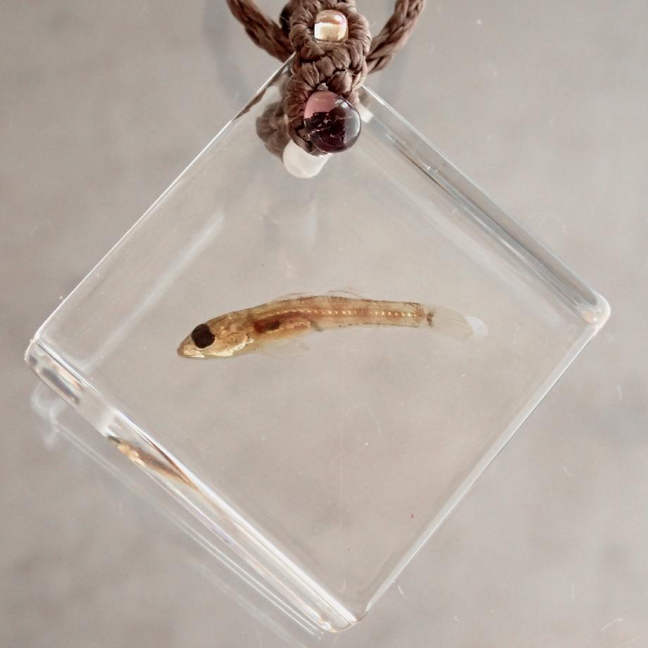 魚類樹脂封入標本ネックレス | 3枚目