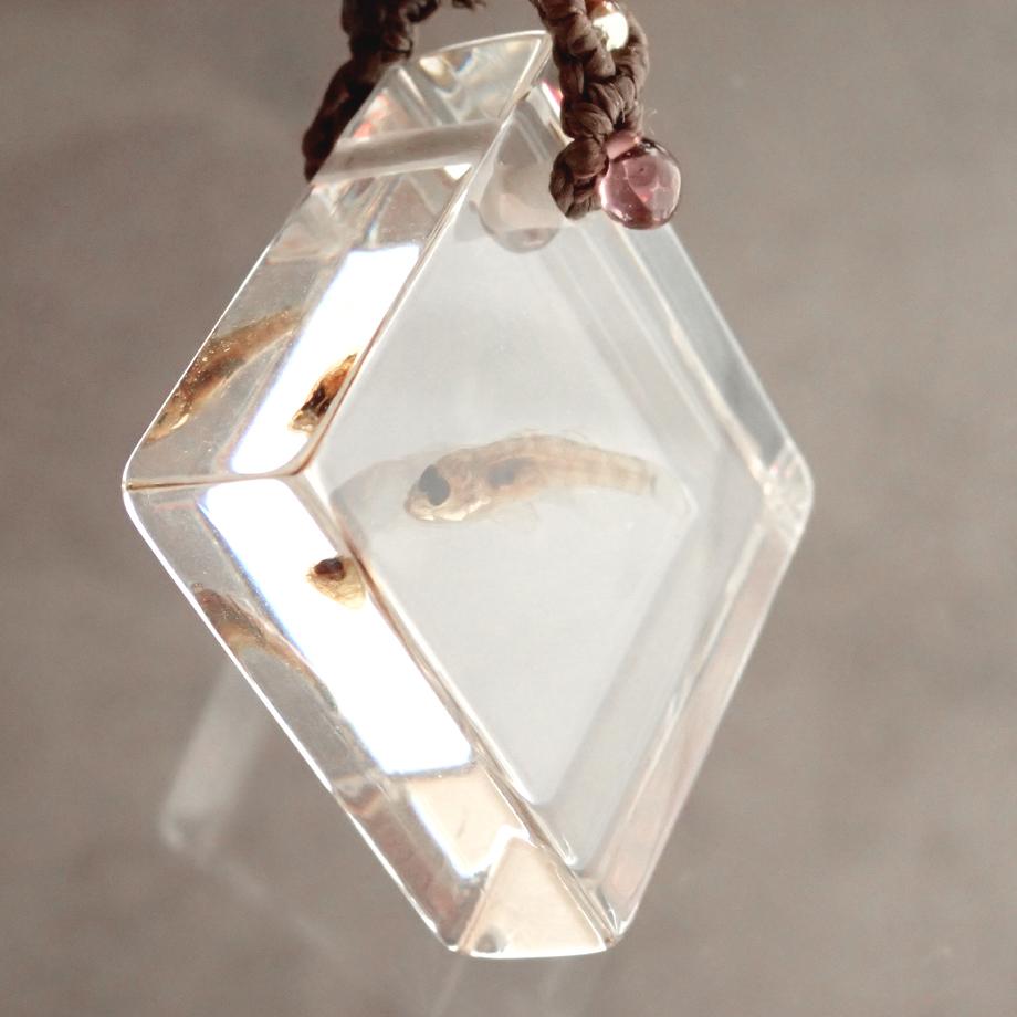 魚類樹脂封入標本ネックレス | 4枚目