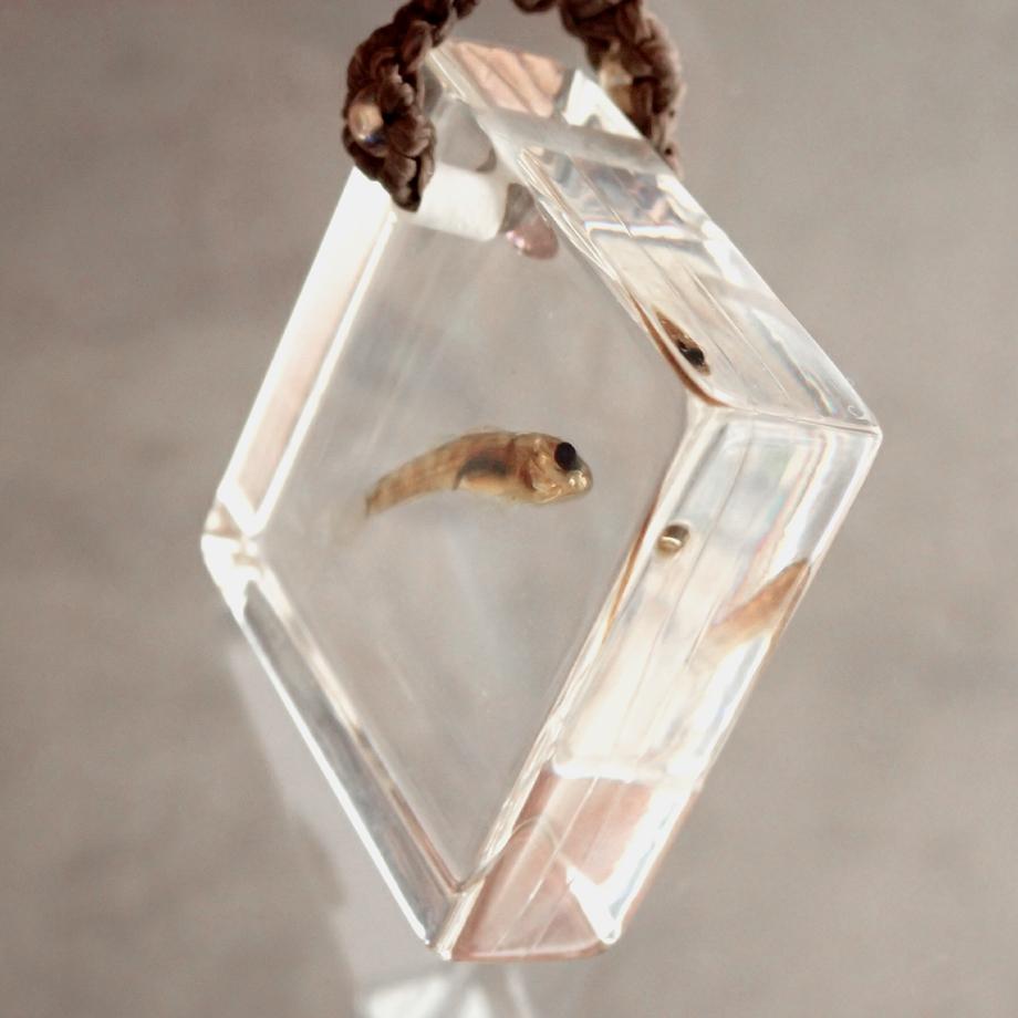 魚類樹脂封入標本ネックレス | 5枚目