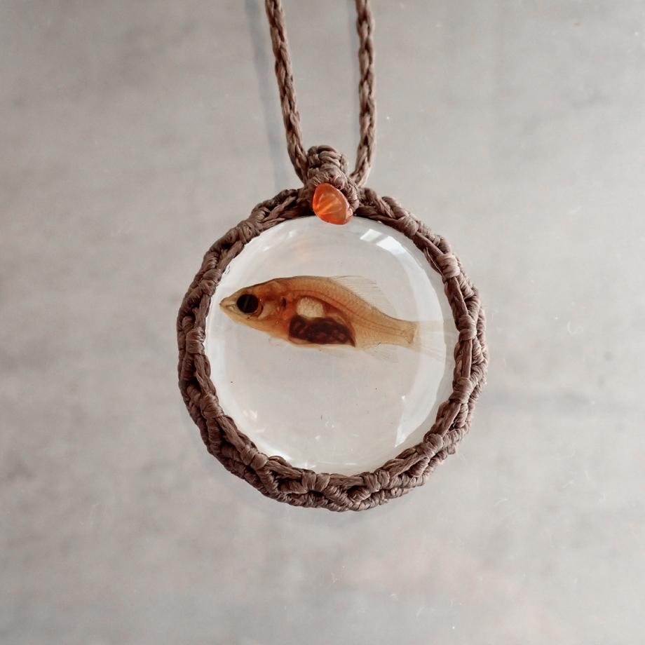 魚類樹脂封入標本ネックレス | 2枚目