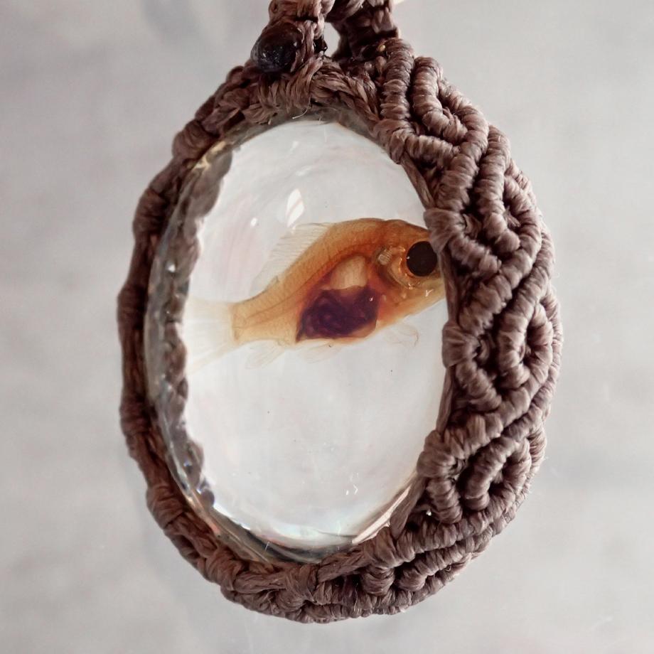 魚類樹脂封入標本ネックレス | 5枚目