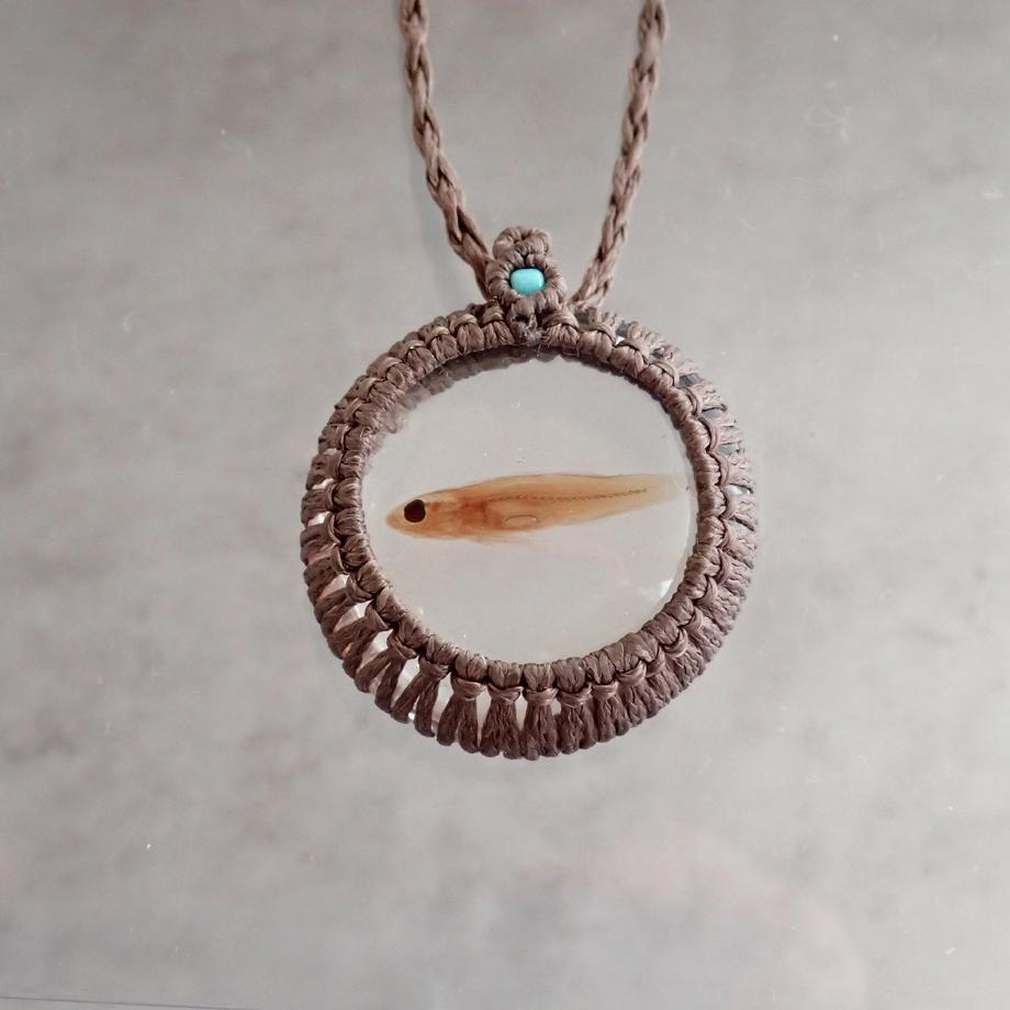 魚類樹脂封入標本ネックレス | 2枚目