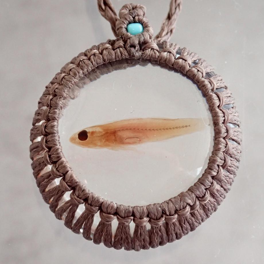 魚類樹脂封入標本ネックレス | 3枚目