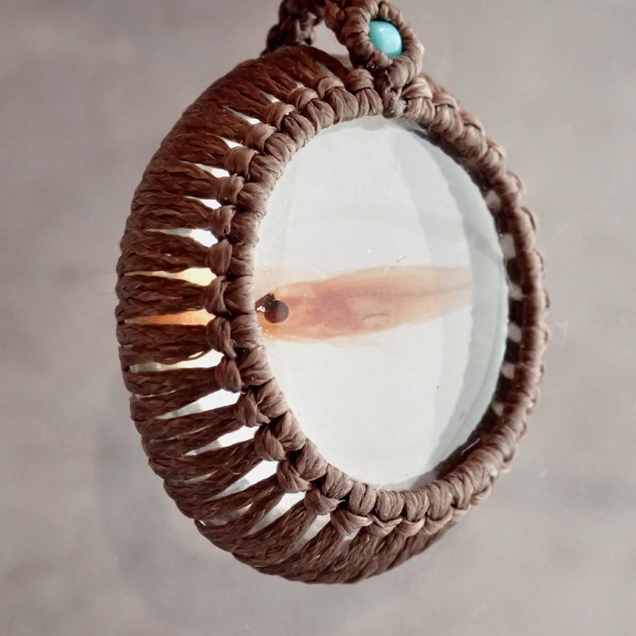 魚類樹脂封入標本ネックレス | 4枚目