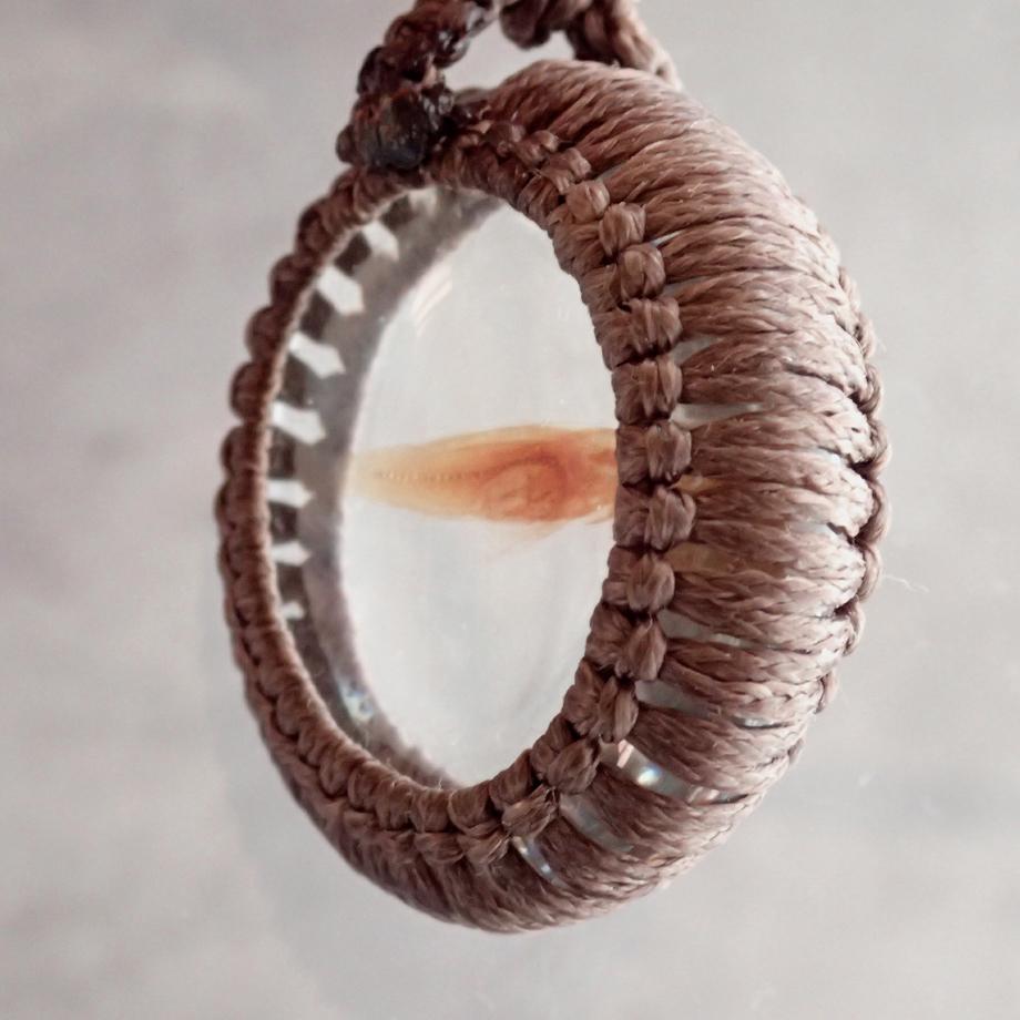 魚類樹脂封入標本ネックレス | 5枚目