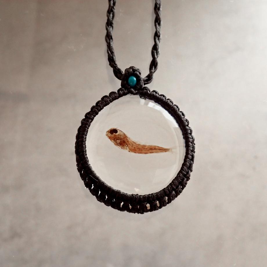 魚類樹脂封入標本ネックレス | 6枚目