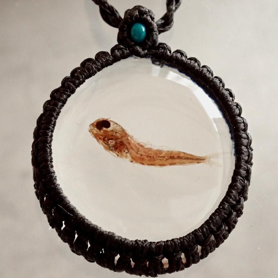 魚類樹脂封入標本ネックレス | 7枚目