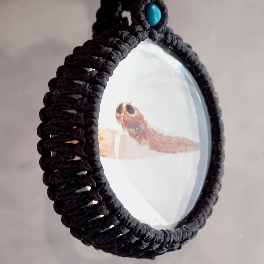 魚類樹脂封入標本ネックレス | 8枚目