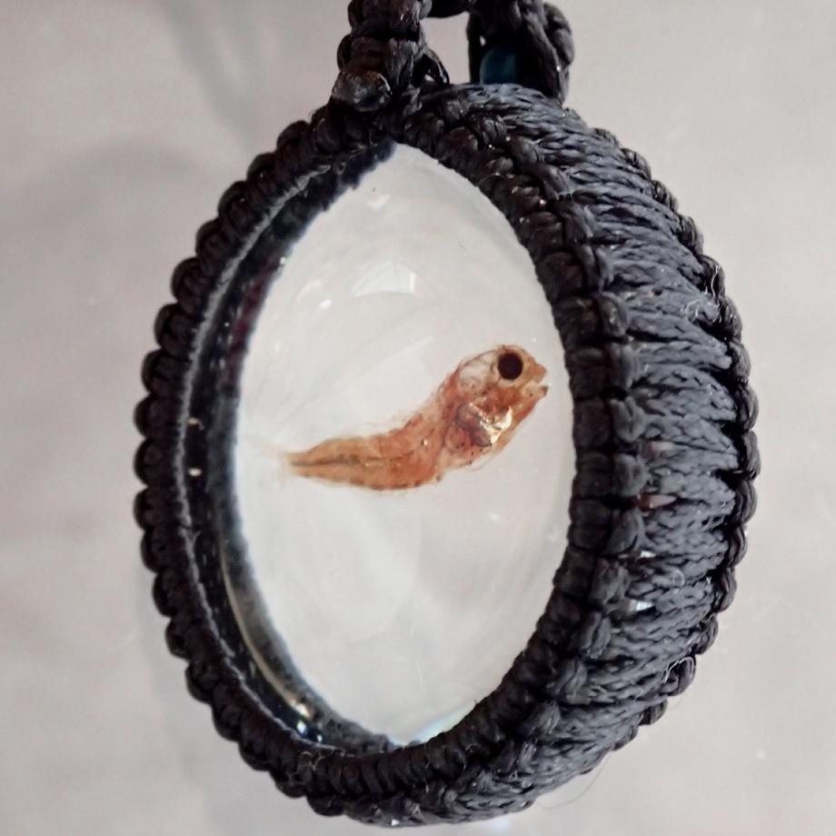 魚類樹脂封入標本ネックレス | 9枚目