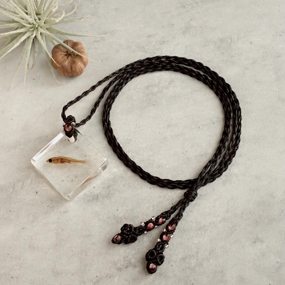 魚類樹脂封入標本ネックレス | 5枚目