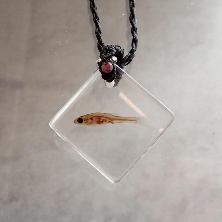 魚類樹脂封入標本ネックレス | 6枚目