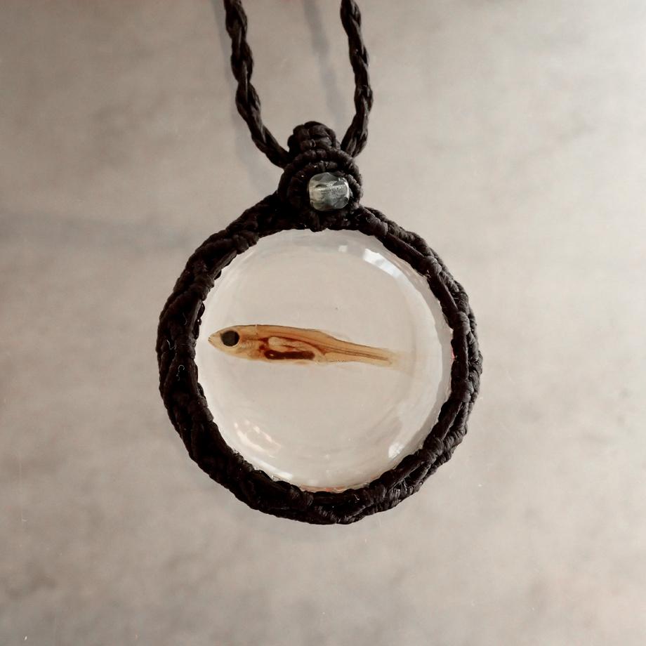 魚類樹脂封入標本ネックレス | 6枚目