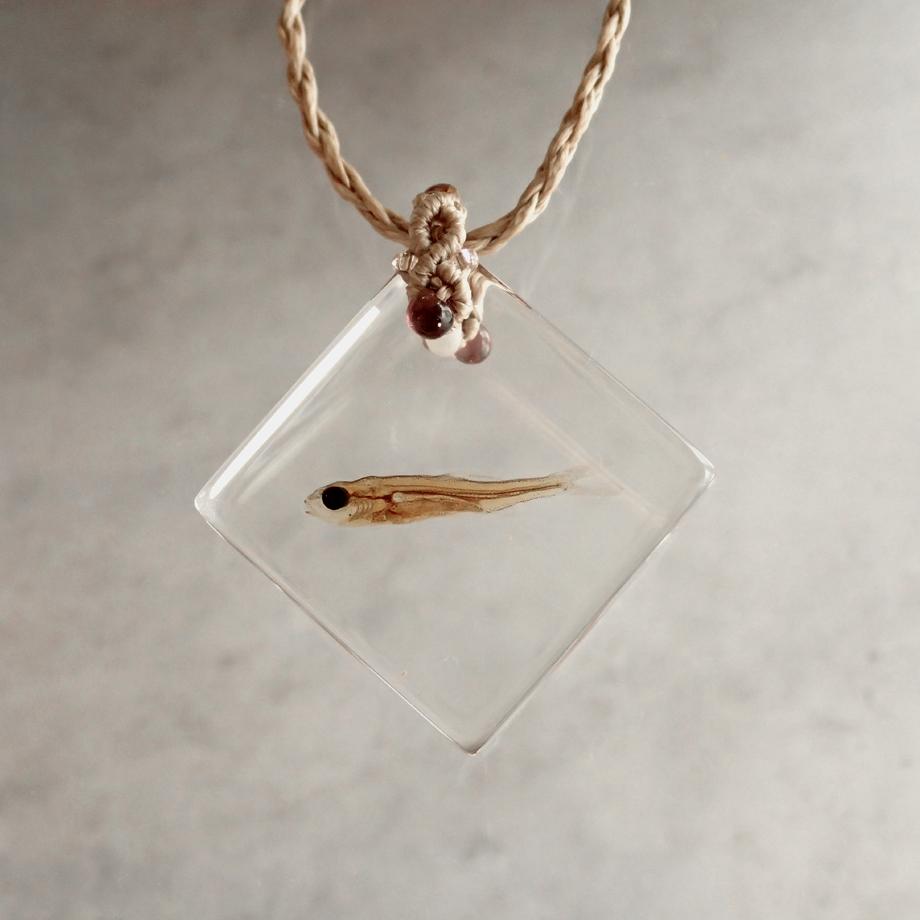 魚類樹脂封入標本ネックレス | 2枚目