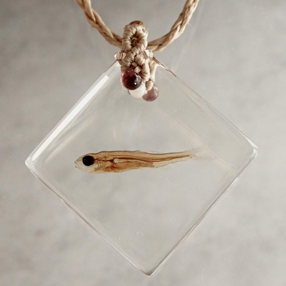 魚類樹脂封入標本ネックレス | 3枚目
